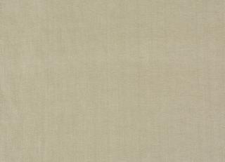 Фото - Ткани Prestigious Textiles Lost Horizon - 444966>