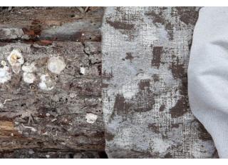 Фото - Ткани Brochier Tradizione - 414564>