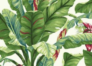 Фото - Обои Ashford House Ashford Tropics - 306972>