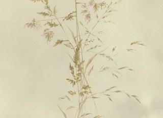 Фото - Обои Eijffinger Waterfront - 526547>