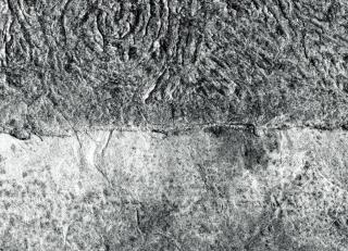 Фото - Обои Elitis Mindoro - 262082>