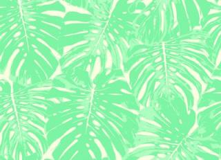 Фото - Обои Seabrook Tortuga - 434142>