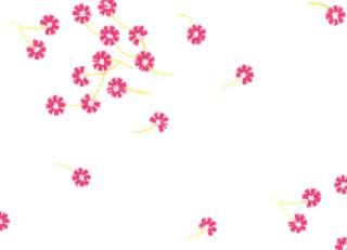 Фото - Ткани Malabar Misha - 368144>