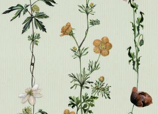 Фото - Обои Coordonne Naturae - 559398>