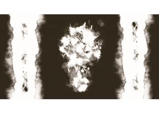 Фото - Обои Tres Tintas Art Gallery - 197738>