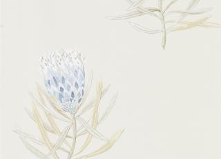 Фото - Обои Sanderson Art of the Garden - 324337>