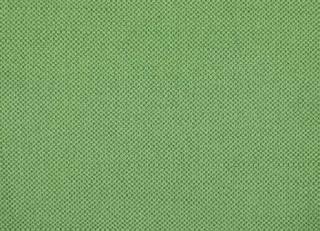 Фото - Ткани Alessandro Bini Unico collection - 473646>