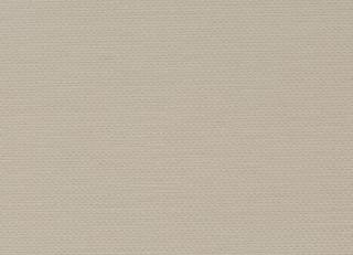 Фото - Обои Chivasso Sensual - 578857>