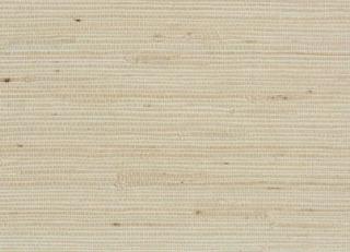 Фото - Обои Pierre Frey Graminees 1 - 312130>