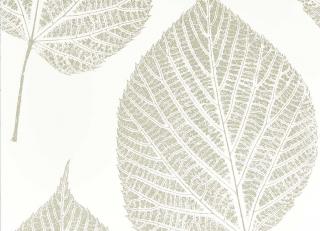 Фото - Обои Harlequin Colour Wallpapers - 515753>