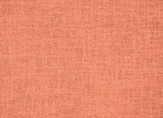 Фото - Ткани Gaston Y Daniela - 553452>