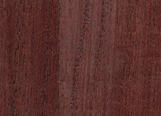 Фото - Обои Yana Svetlova Paulownia - 572464>