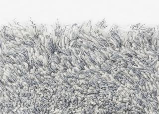 Фото - Ковры Kvadrat Bravoure 60 - 564333>