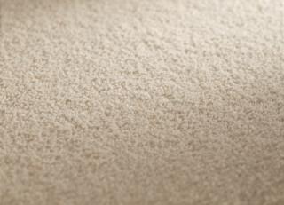 Фото - Ковры JAB Anstoetz Infinity - 574172>