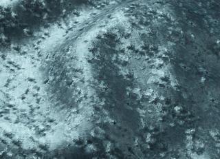 Фото - Ткани Galleria Arben Baroque - 534077>