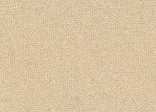 Фото - Ткани Rubelli Glassweave - 572566>