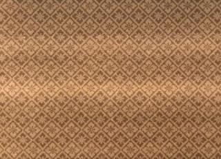 Фото - Ткани Foresti Home Collection Velluto Easy Clean - 570031>