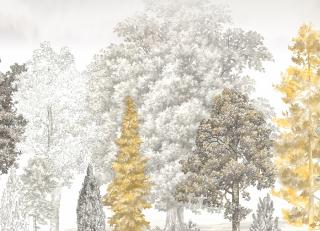 Фото - Обои Loymina Пейзаж 2 - 609816>