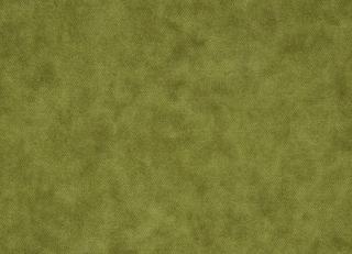 Фото - Ткани Clarke&Clarke Regal - 305380>