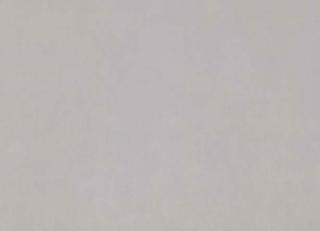 Фото - Ткани Zinc Capsule - 542487>