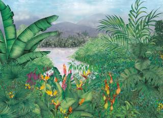 Фото - Обои Coordonne Metamorphosis - 506005>