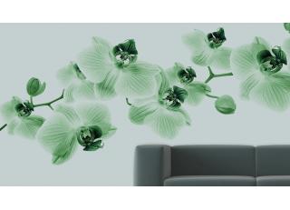 Фото - Обои Glamora Essence - 225530>