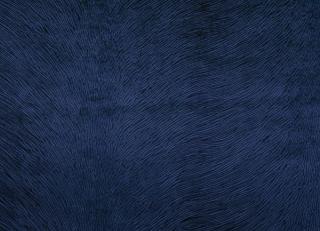 Фото - Ткани Gancedo Passion - 491849>