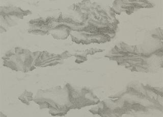 Фото - Обои Harlequin Amazilia - 215270>