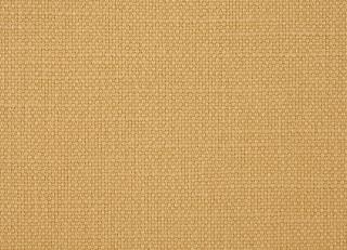 Фото - Ткани Sanderson Arley - 302592>