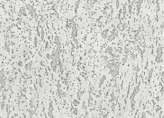 Фото - Обои для стен Wallquest - 609447>