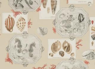 Фото - Обои Pierre Frey Dessins Signatures - 481992>