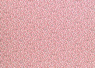 Фото - Ткани Designers Guild Primrose hill - 285914>