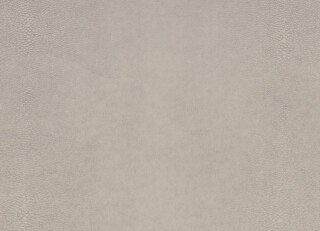 Фото - Ткани Kirkby design Hide Vegan Leathers - 631385>