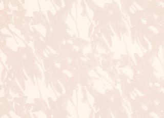 Фото - Обои Villa Nova Ostara Wallcoverings - 456929>