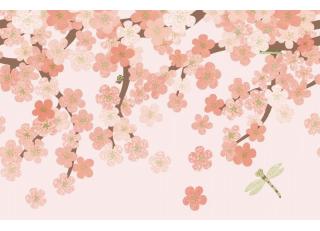 Фото - Виниловые обои детские - 482861>