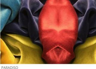 Фото - Ткани Jason D’Souza - 365462>