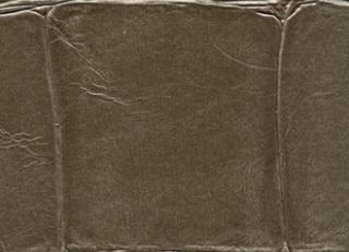 Фото - Обои Elitis Anguille Big croco Legend - 469447>