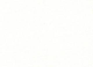 Фото - Обои Sandberg Frank - 351307>