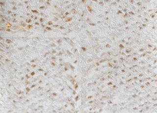 Фото - Обои Elitis Natural mood - 469434>