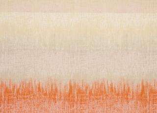 Фото - Ткани Clarke&Clarke Mirador - 404004>