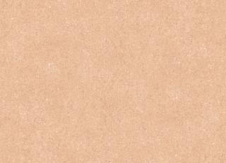 Фото - Обои Loymina Terra - 606374>