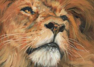 Фото - Обои Ortograf Дэвид Стрибблинг - 479036>