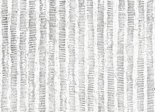 Фото - Обои Thibaut Modern Resource 3 - 549693>