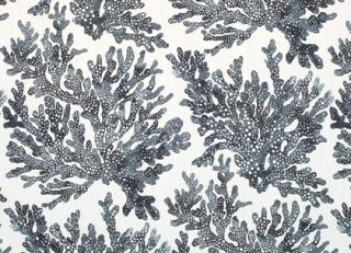 Фото - Ткани Thibaut Tropics - 529852>