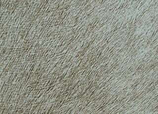 Фото - Обои Elitis Indomptee - 377187>