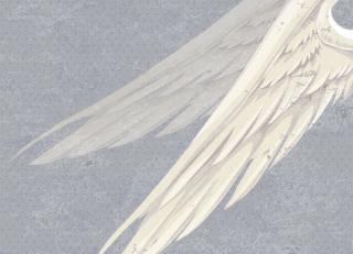 Фото - Обои Ango Linea Now - 330888>