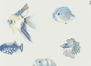 Фото - Обои Harlequin Anthozoa - 342812>