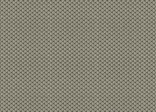 Фото - Ткани Faboie Boundless IV - 583902>