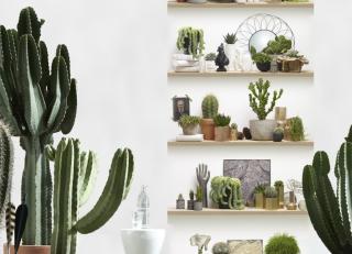 Фото - Обои Koziel Nature wallpapers - 326735>