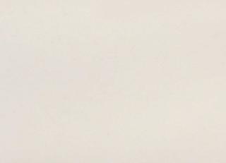 Фото - Ткани Alessandro Bini Spitfire - 438067>